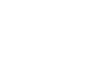 Nippon Bonsai Growers Cooperative 日本盆栽協同組合