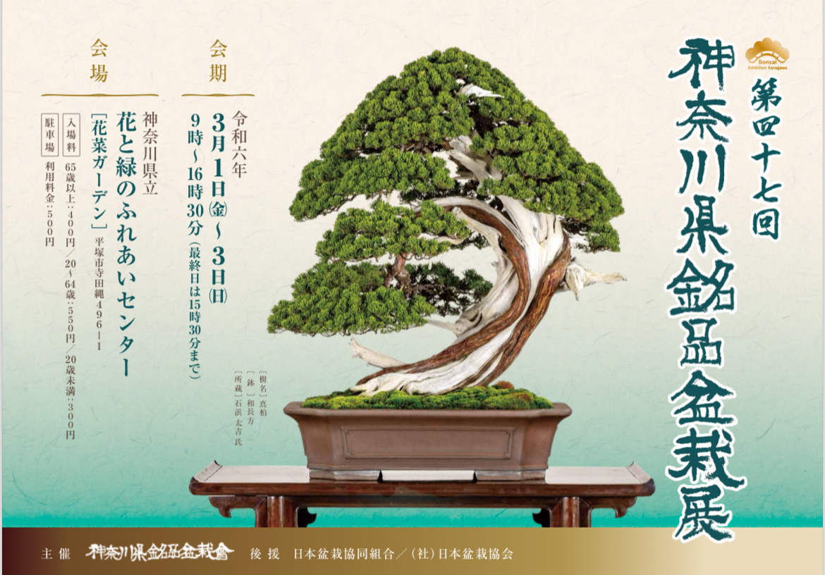展示会のお知らせ ｜ 日本盆栽協同組合